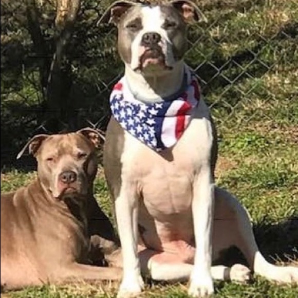 ๐ฆIโm Stefani & thanks for stopping by my closet๐ฆ - Picture 7 of 16